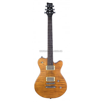 Электрогитара Framus Panthera Pro